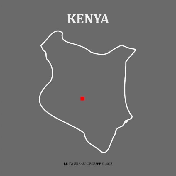 100% Arabica - Kenya
